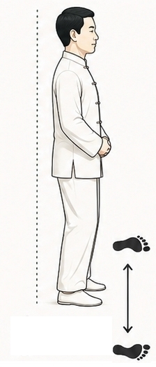 Qi Gong - Posture fondamentale profil